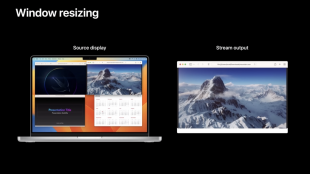 ウィンドウのリサイズ