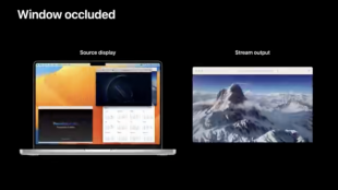 ウィンドウのオクルード