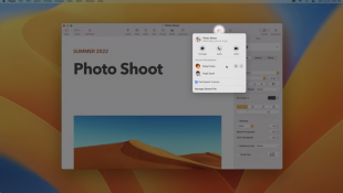 コラボレーター