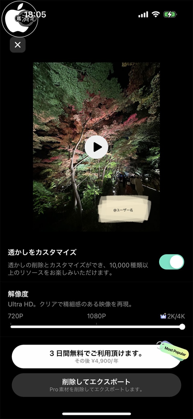 Filmora for iOS:エクスポート