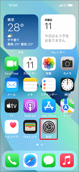 iPhone