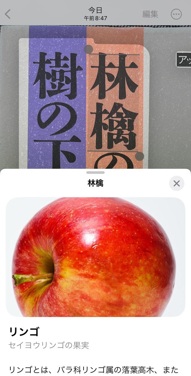 iOS 17：縦書きのテキスト表示