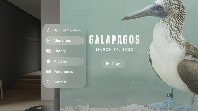 フォーカス・フィードバック