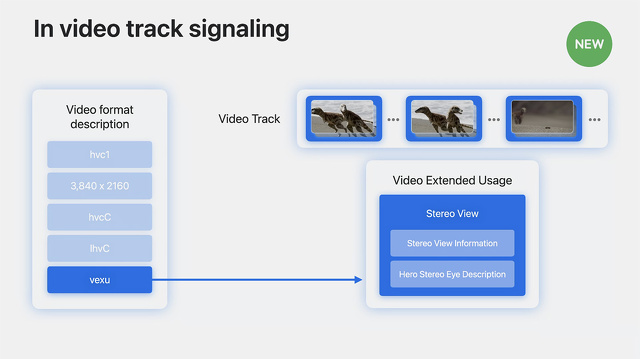 In video track signaling