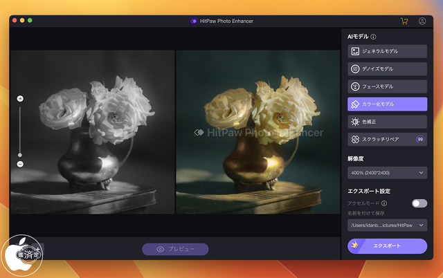 HitPaw Photo Enhancer for Mac：カラー化モデル