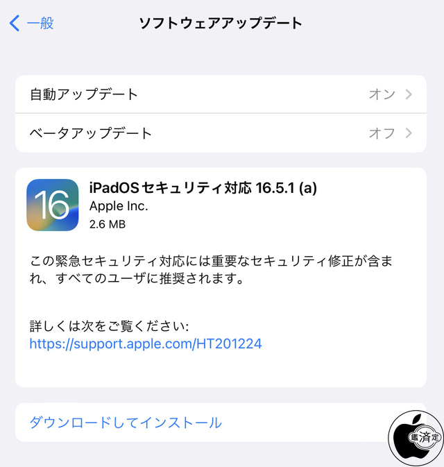 iPadOSセキュリティ対応 16.5.1(a)