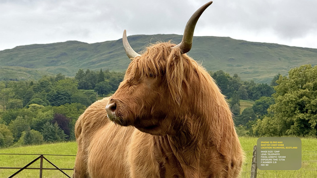 iPhone 15 Pro Max:CODY COBB