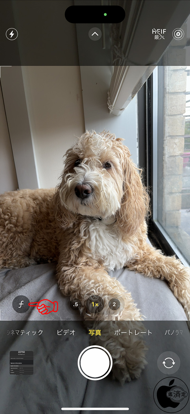 iPhone 15・iPhone 15 Plus：写真モードでのポートレート撮影