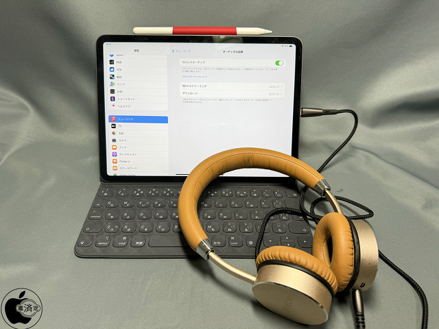 iPad Pro 11-inch (第1世代)+VOJOTO AG10