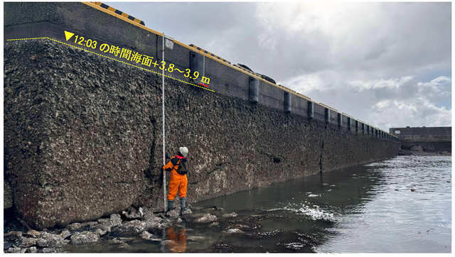 鹿磯漁港の防潮堤に固着した生物遺骸が示す隆起の様子。人が持っている標尺の長さは5 m