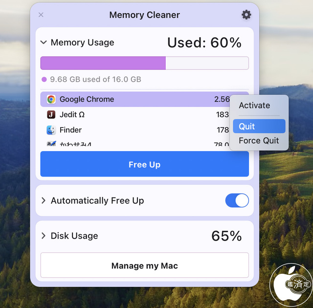 Memory Cleaner