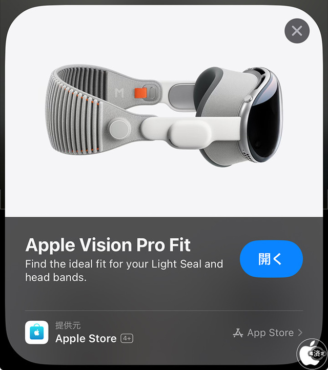 Apple Vision Pro Fit