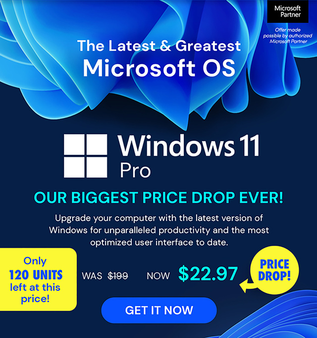 Microsoft Windows 11 Pro