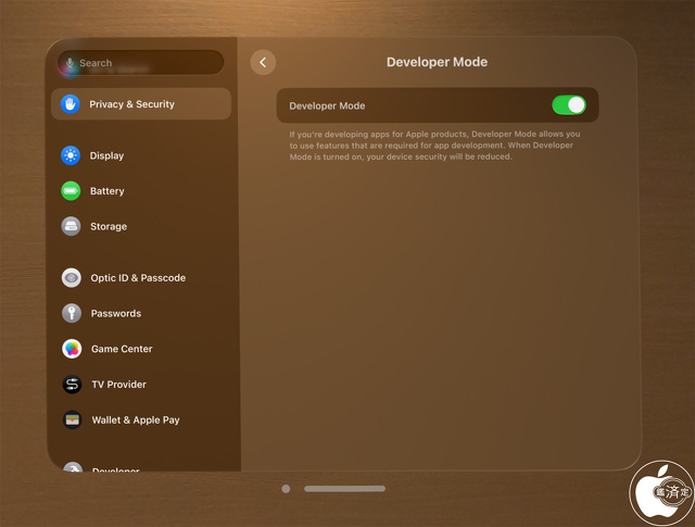 Developer Mode