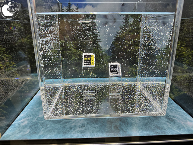 ARMOR GOLD SDXC UHS-II：ARMOR SILVER SDXC UHS-II