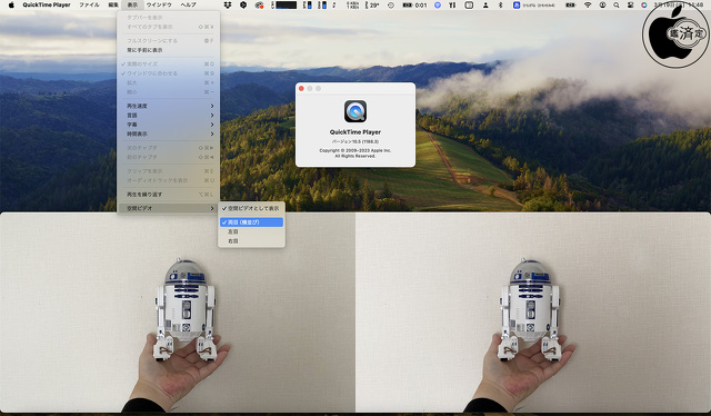 QuickTime Player 10.5：空間ビデオ表示