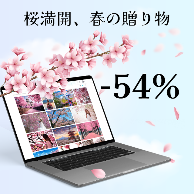 桜満開、春の贈り物