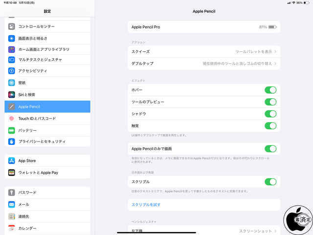 Apple Pencil Pro設定
