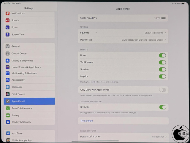 Apple Pencil Pro設定