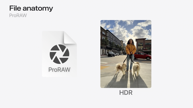 File anatomy：ProRAW