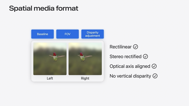 Spatial media format