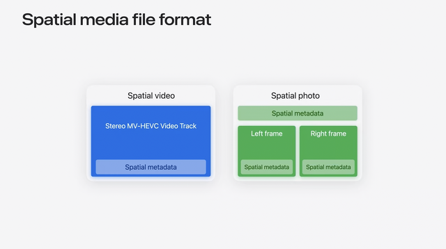 Spatial media file format