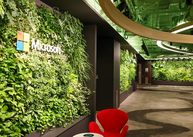 日本マイクロソフト