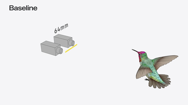 ベースライン：64mm
