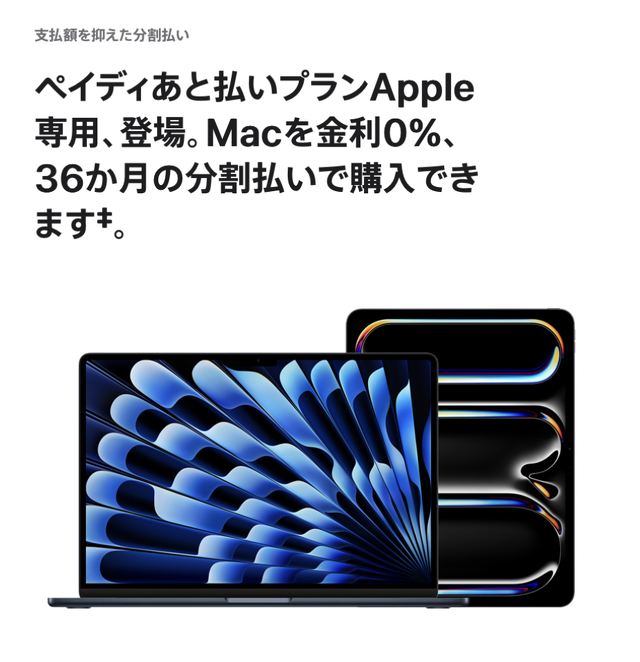ペイディあと払いプランApple専用利用