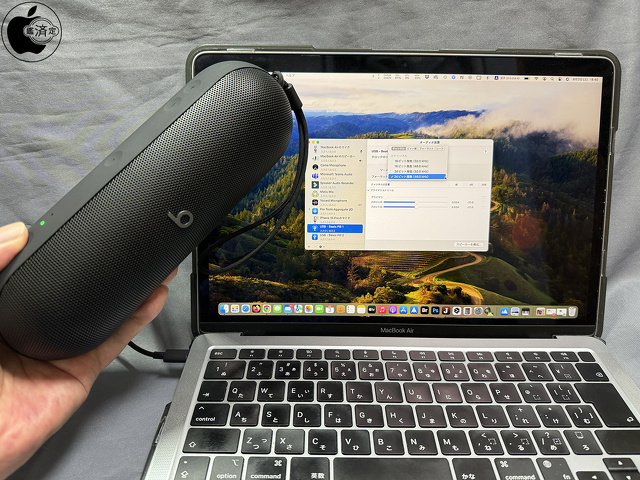 Beats Pill:USB-C