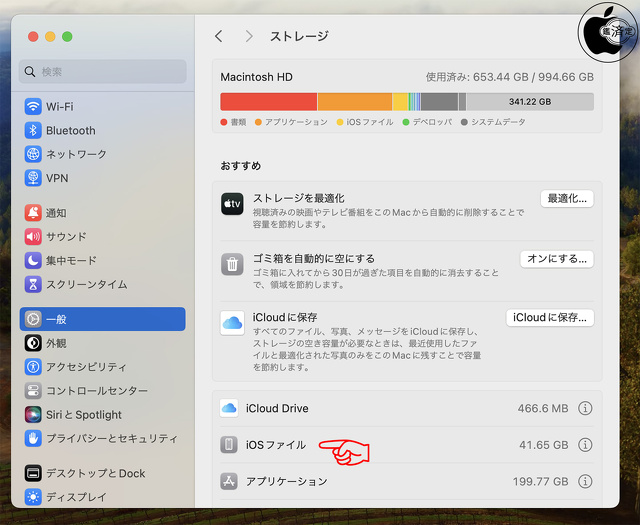 システム設定＞一般＞ストレージ＞iOSファイル