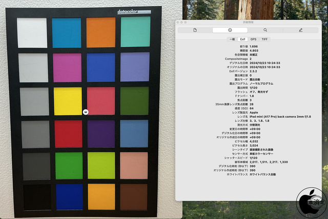 iPad mini（A17 Pro）：背面カメラ