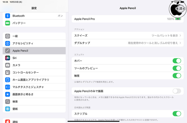 Apple Pencil Pro設定