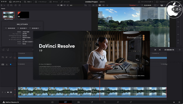 DaVinci Resolve 19.1