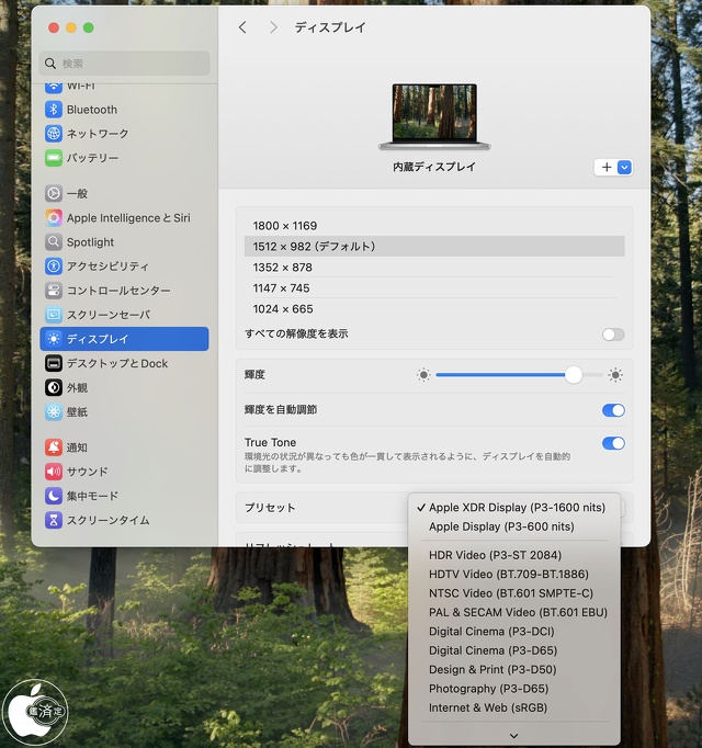 MacBook Pro (14-inch, M4, 2024)：スケーリング解像度