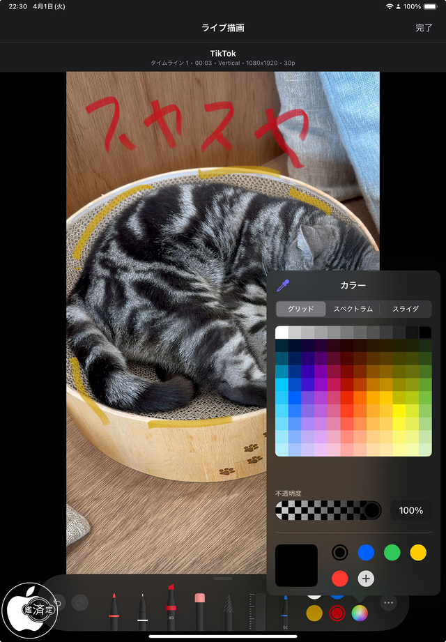 ライブ描画