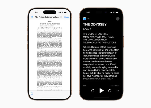 アクセシビリティ リーダー