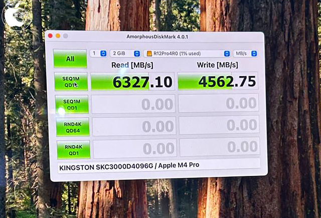 Pegasus5 R12 Proベンチマーク