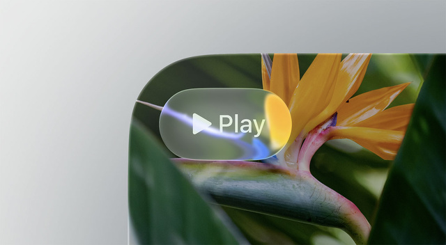 フィードバック