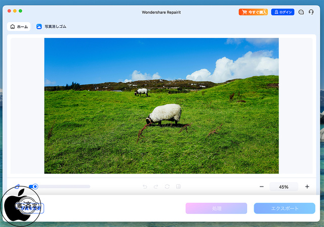 Wondershare Repairit 6.5.16 for Mac：写真消しゴム