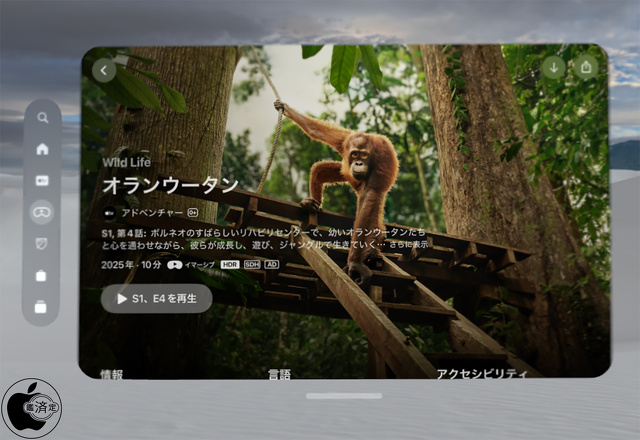 オランウータン