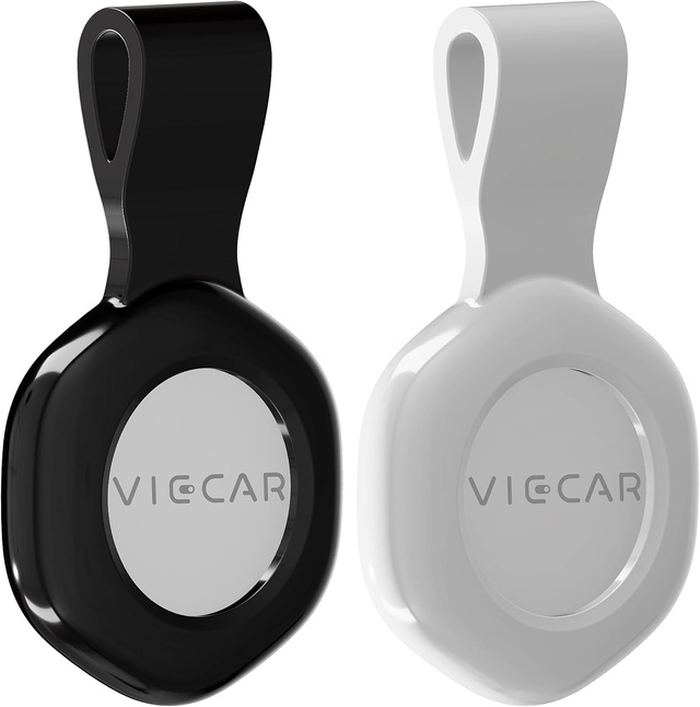 VICCAR