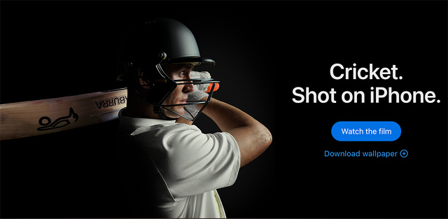 Cricket. Shot on iPhone.