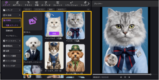 EdimakorのAI写真エフェクト-ペット証明写真