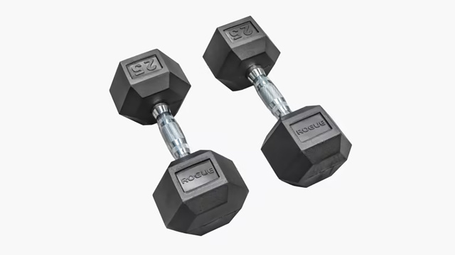 Rogue Rubber Hex Dumbbell