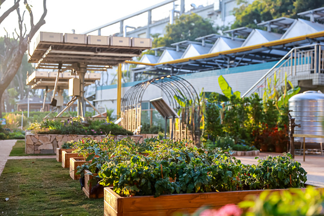 Foxconn龍華キャンパス内にエコ湿地庭園