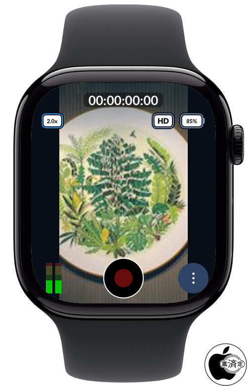 Blackmagic Camera for Apple Watch