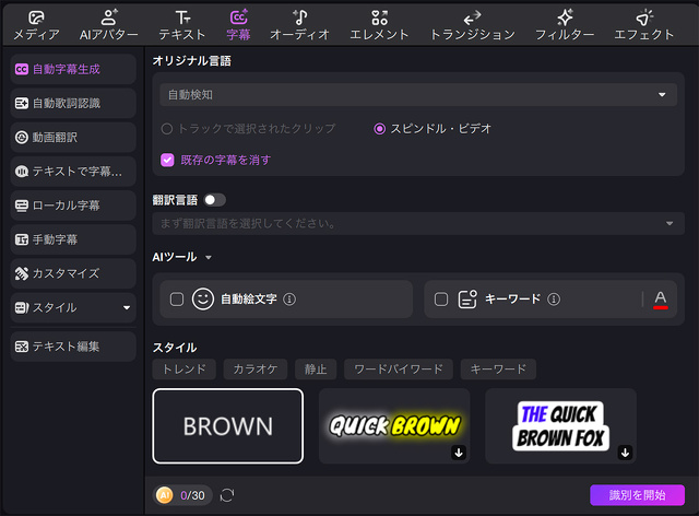 テキスト・字幕調整パラメータパネル