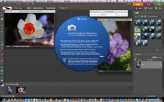Adobe Photoshop Elements 6 for Macintosh