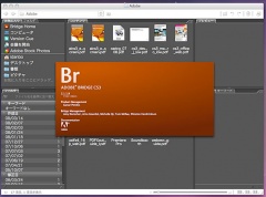 Adobe Bridge CS3